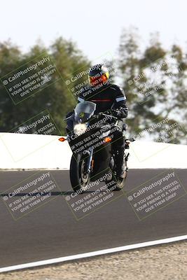 media/Feb-16-2025-TrackDaz (Sun) [[85eae43da9]]/C Group/140pm (Wheelie Dip)/